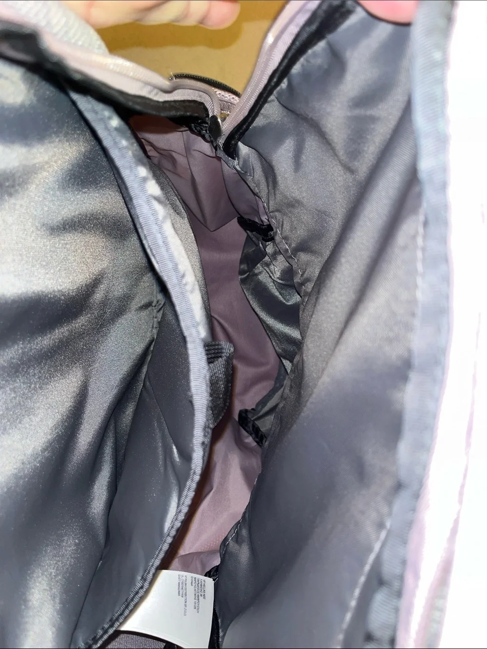 The North Face Jester Light Purple and Gray Backpack